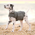 Chaleco calmante para la ansiedad de perros, gris jaspeado