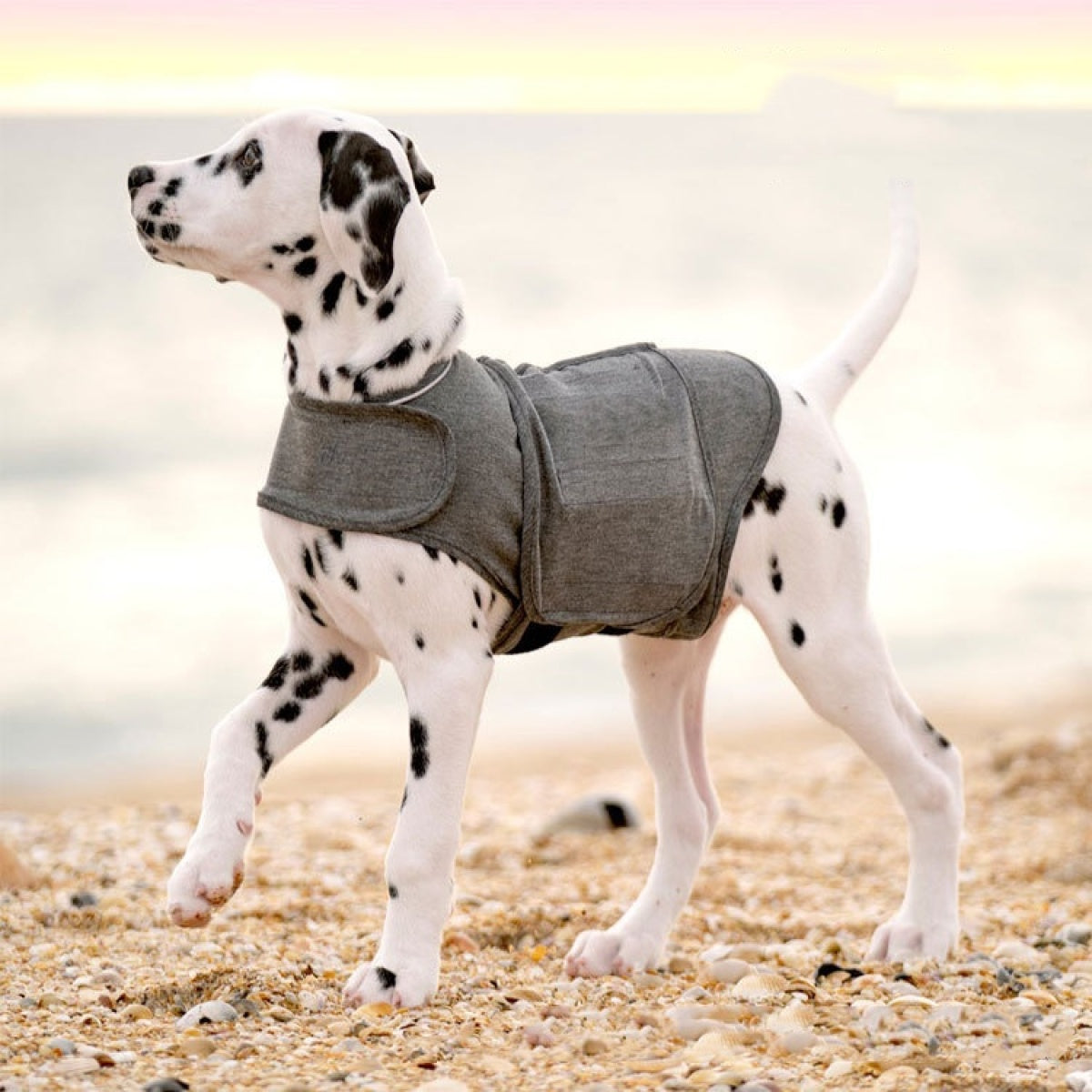 Chaleco calmante para la ansiedad de perros, gris jaspeado